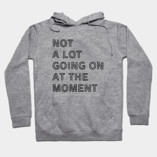 NOT A LOT GOING ON AT THE MOMENT Hoodie